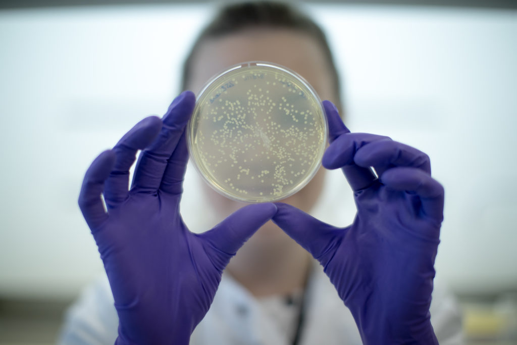 Life Sciences in North East England